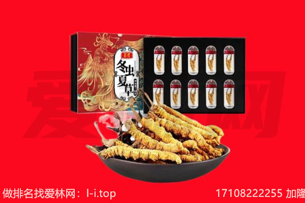 共和县冬虫夏草回收