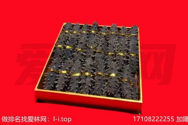 共和县海参回收